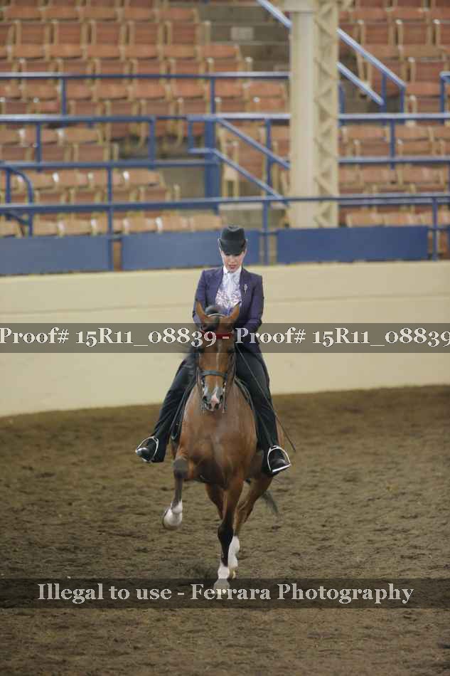 Proof Number 15R11_08839