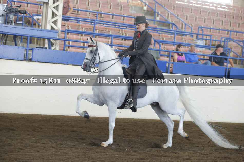 Proof Number 15R11_08847