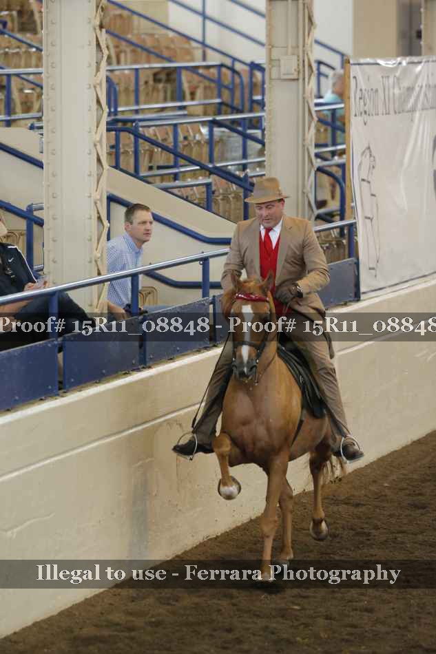 Proof Number 15R11_08848