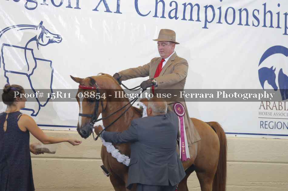 Proof Number 15R11_08854