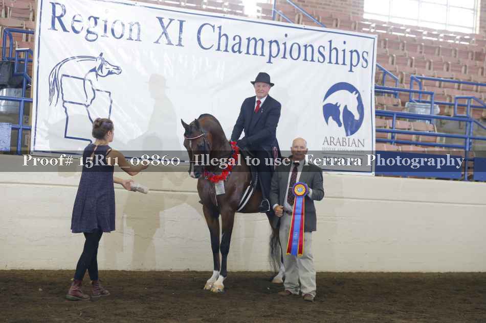 Proof Number 15R11_08860