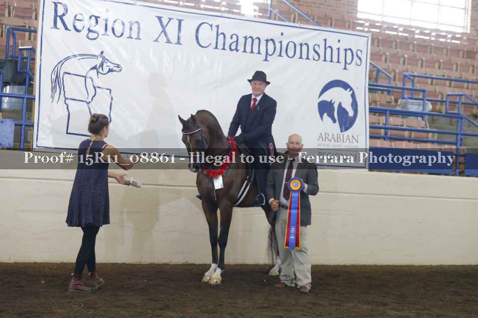 Proof Number 15R11_08861