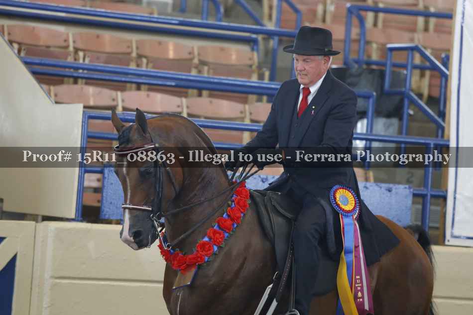 Proof Number 15R11_08863