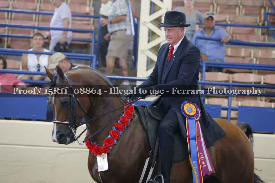 Proof Number 15R11_08864