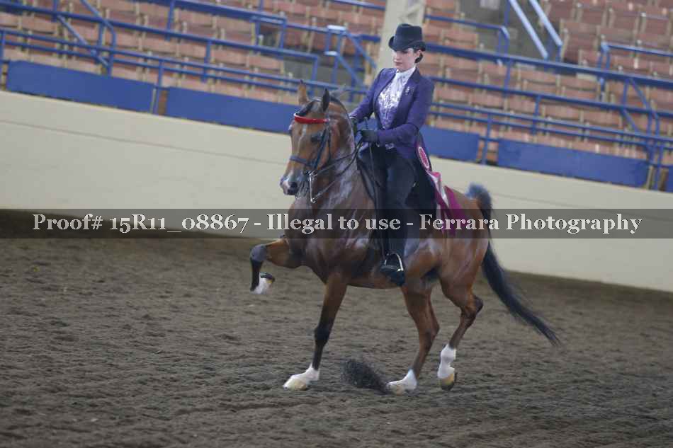Proof Number 15R11_08867