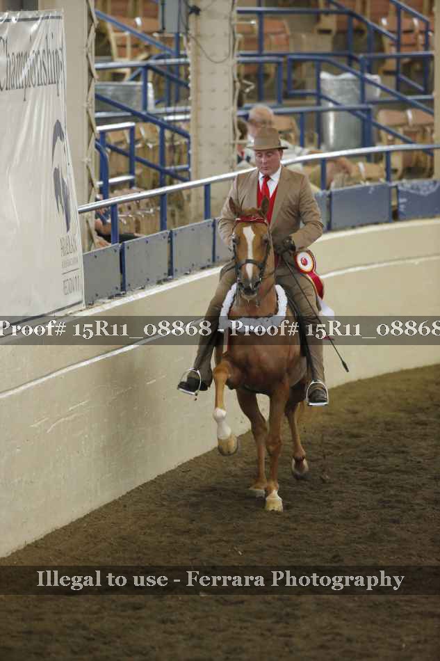 Proof Number 15R11_08868