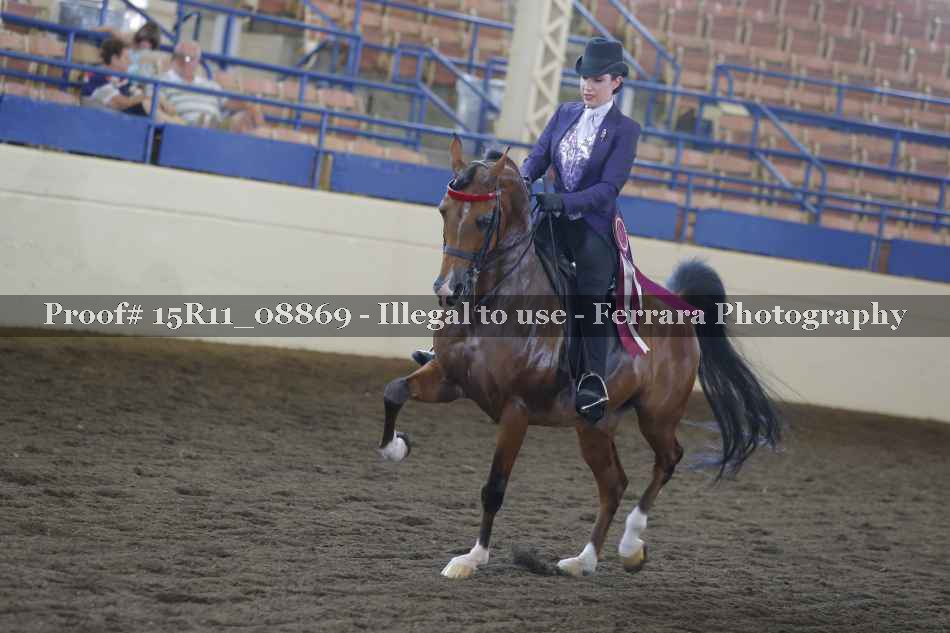 Proof Number 15R11_08869