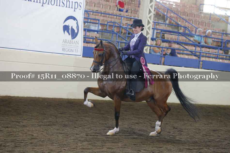 Proof Number 15R11_08870