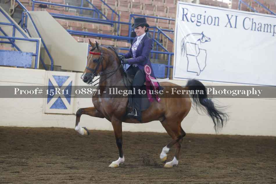 Proof Number 15R11_08871