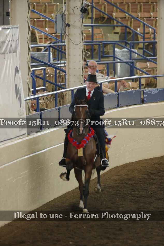 Proof Number 15R11_08873