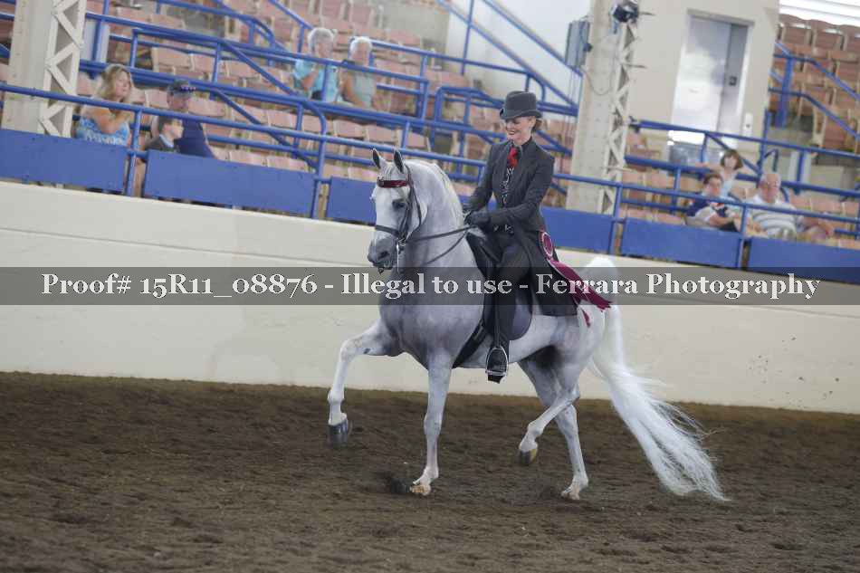 Proof Number 15R11_08876