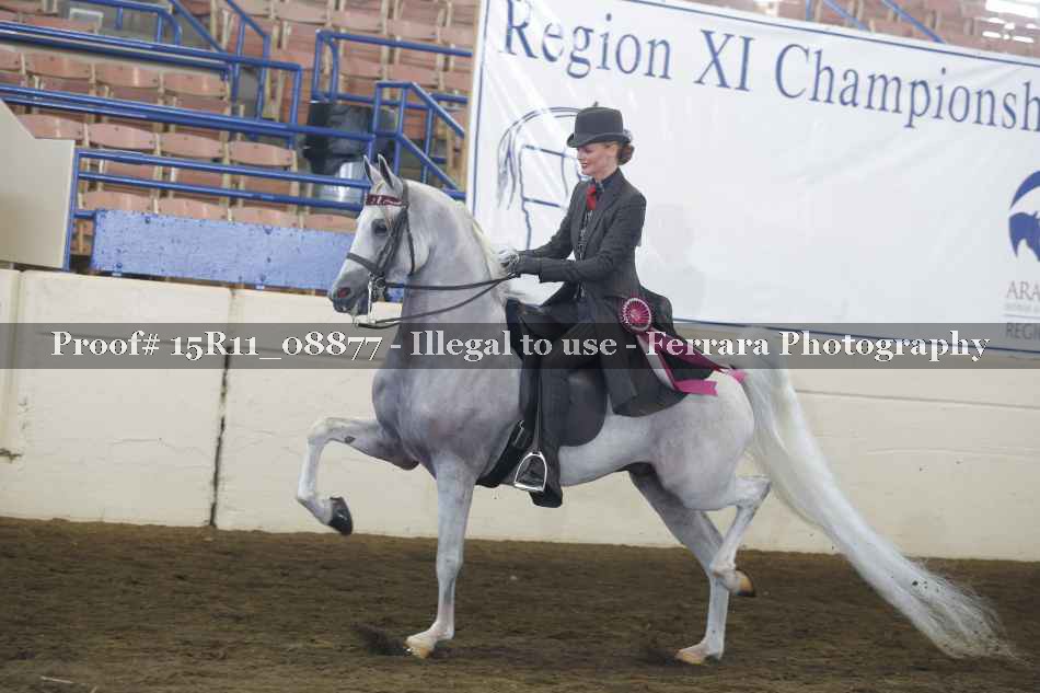 Proof Number 15R11_08877