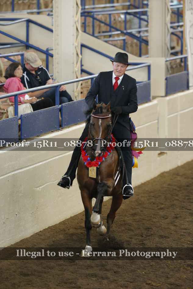 Proof Number 15R11_08878