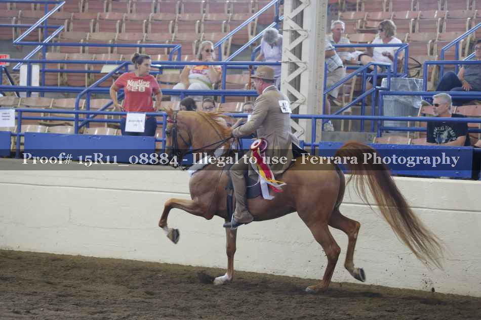 Proof Number 15R11_08884