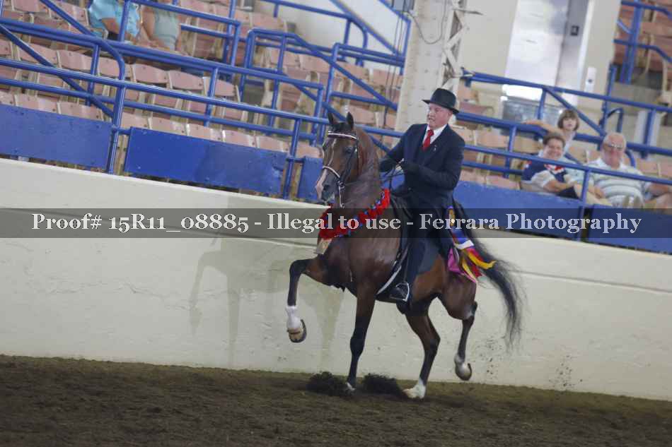 Proof Number 15R11_08885