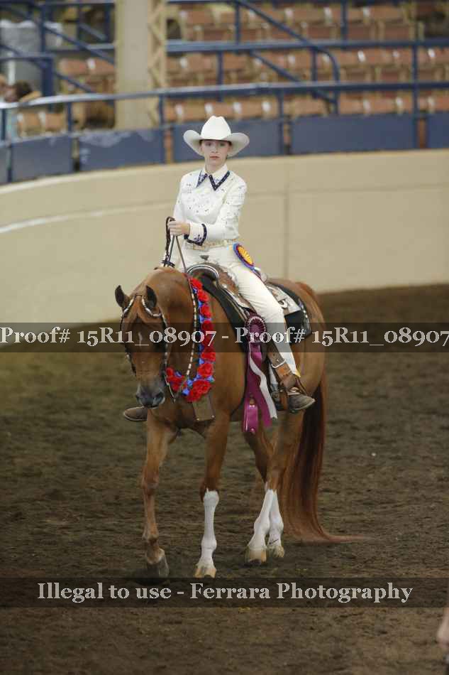 Proof Number 15R11_08907