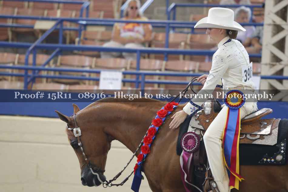 Proof Number 15R11_08916