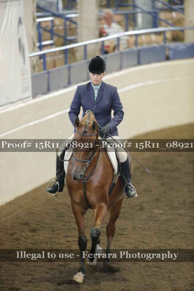 Proof Number 15R11_08921