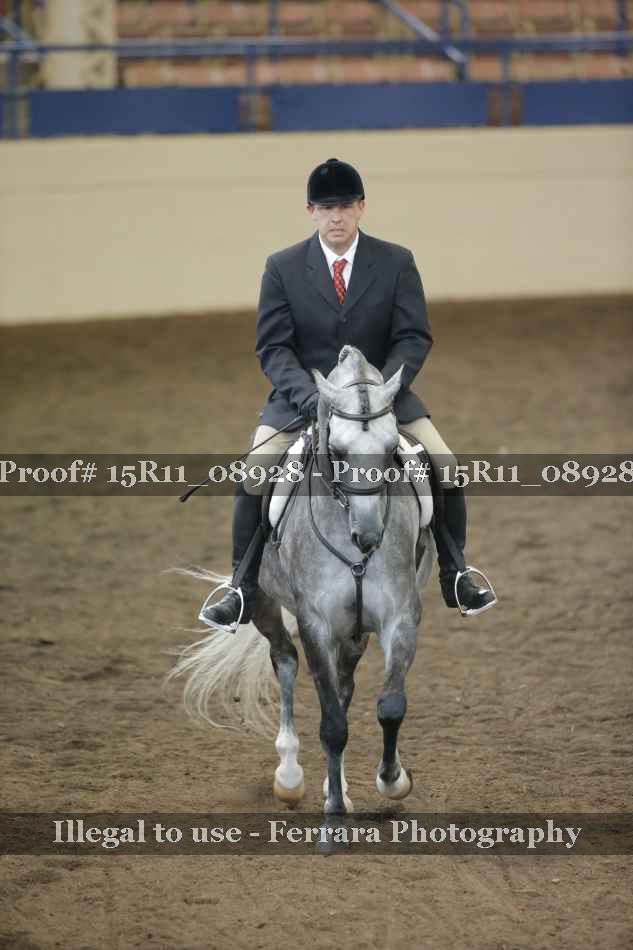 Proof Number 15R11_08928