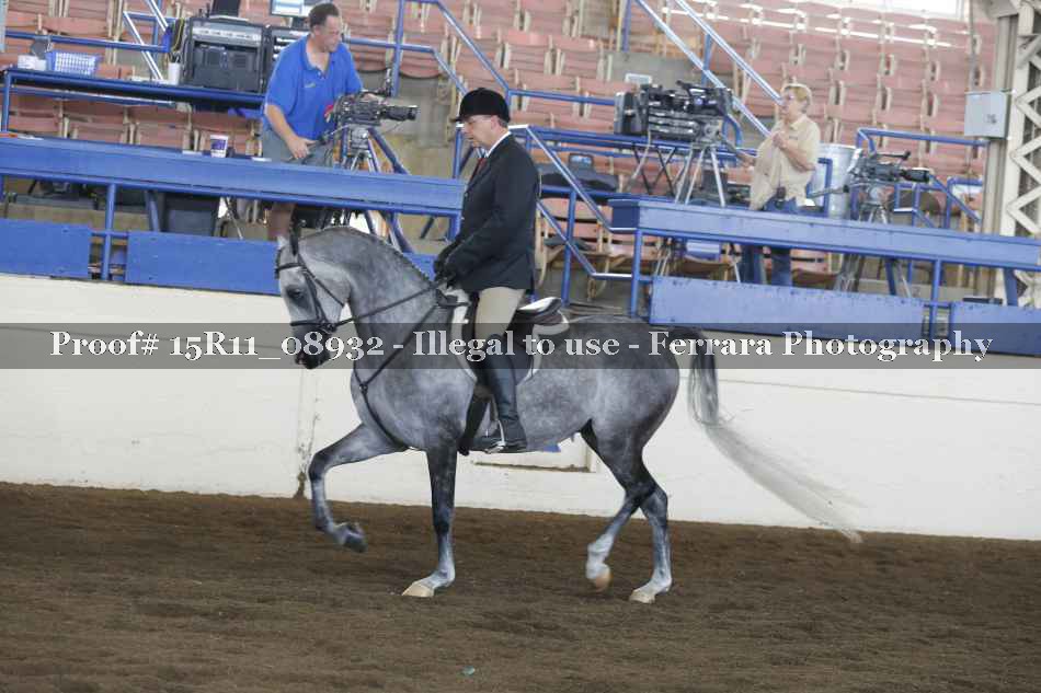 Proof Number 15R11_08932