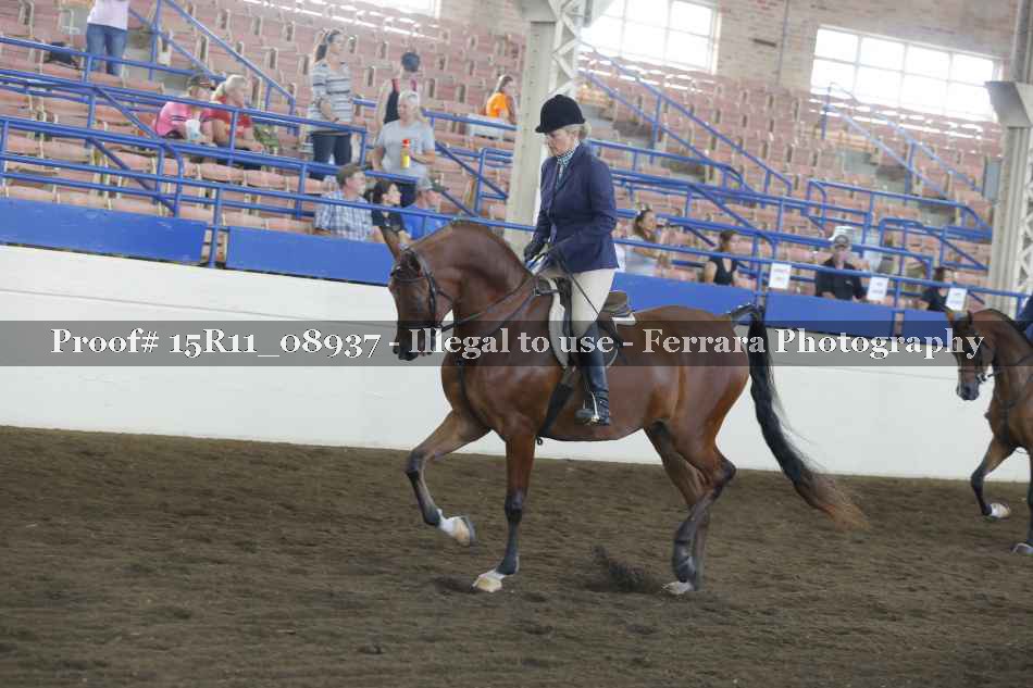 Proof Number 15R11_08937