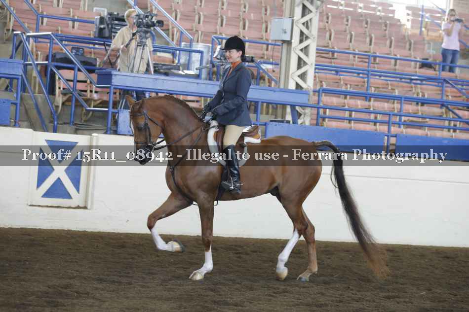 Proof Number 15R11_08942