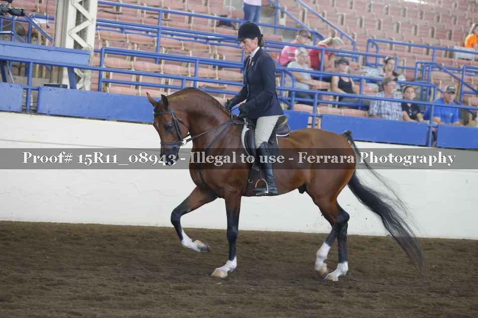 Proof Number 15R11_08943