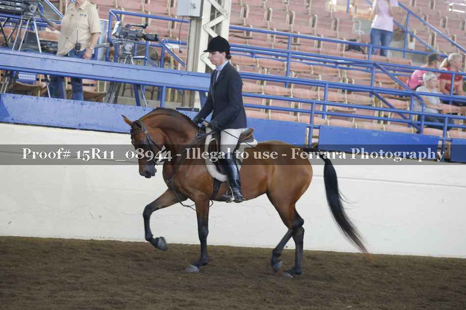 Proof Number 15R11_08944