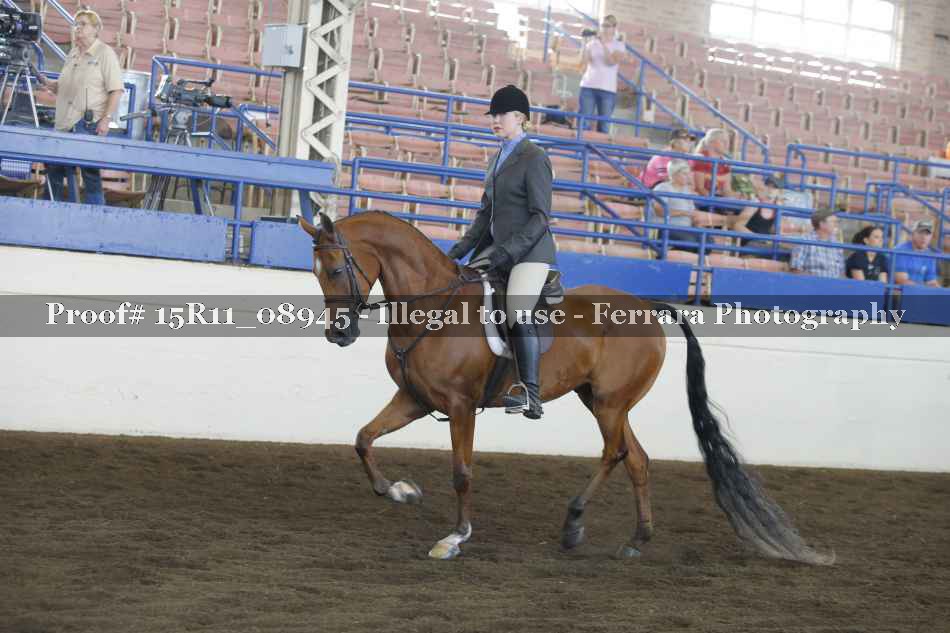 Proof Number 15R11_08945
