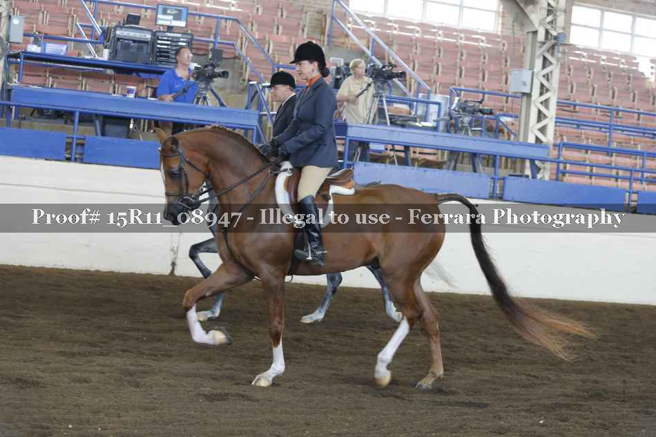 Proof Number 15R11_08947