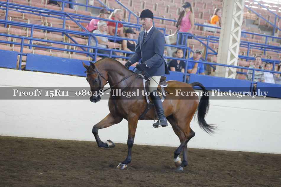 Proof Number 15R11_08948