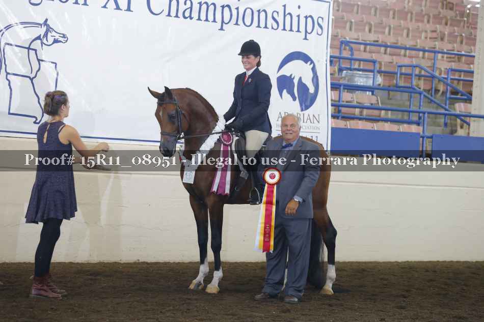 Proof Number 15R11_08951