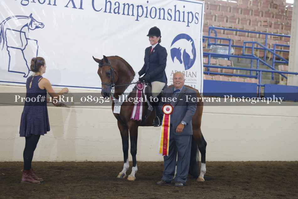 Proof Number 15R11_08952