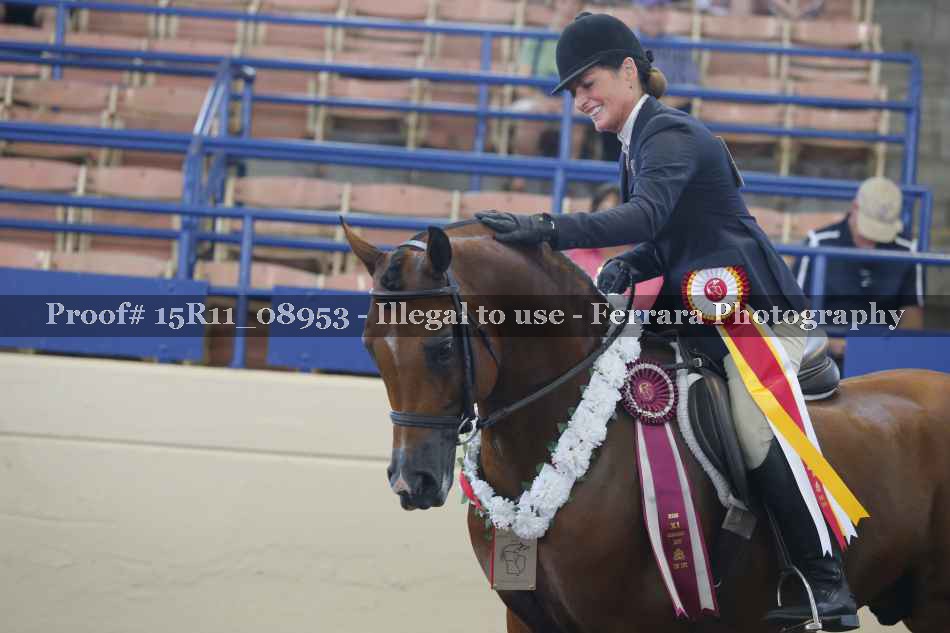 Proof Number 15R11_08953
