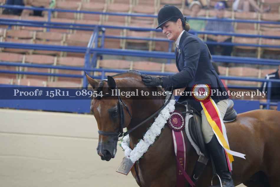 Proof Number 15R11_08954