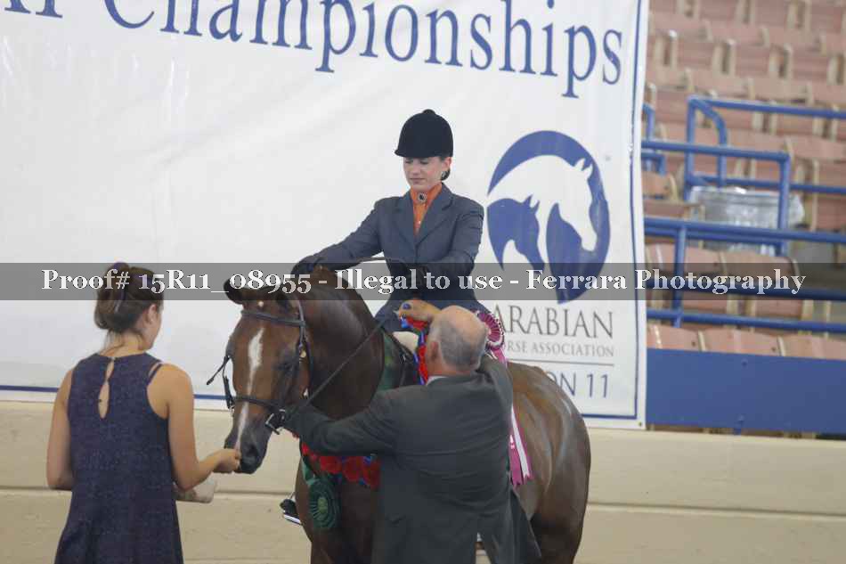 Proof Number 15R11_08955