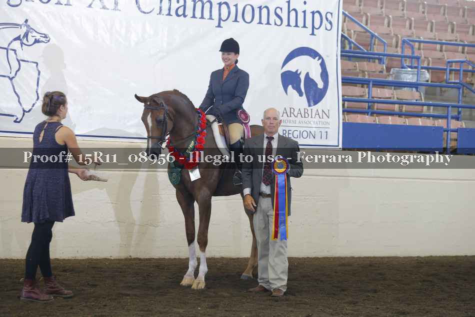 Proof Number 15R11_08956
