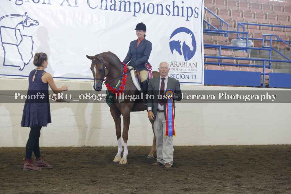 Proof Number 15R11_08957