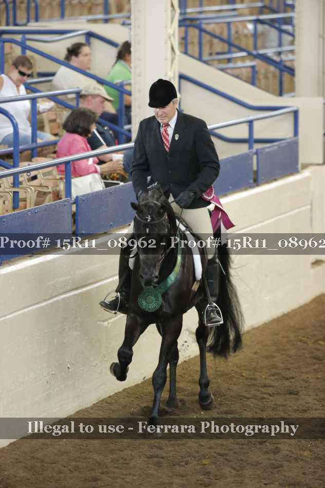Proof Number 15R11_08962