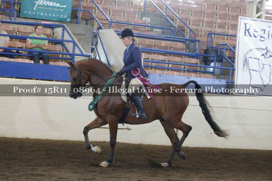 Proof Number 15R11_08964