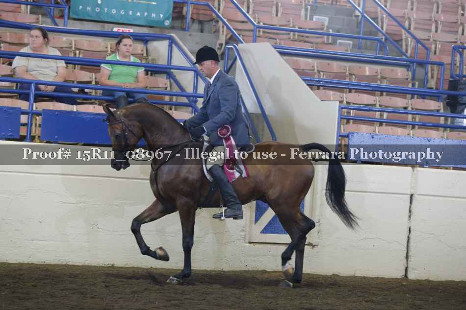 Proof Number 15R11_08967