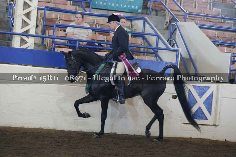 Proof Number 15R11_08971