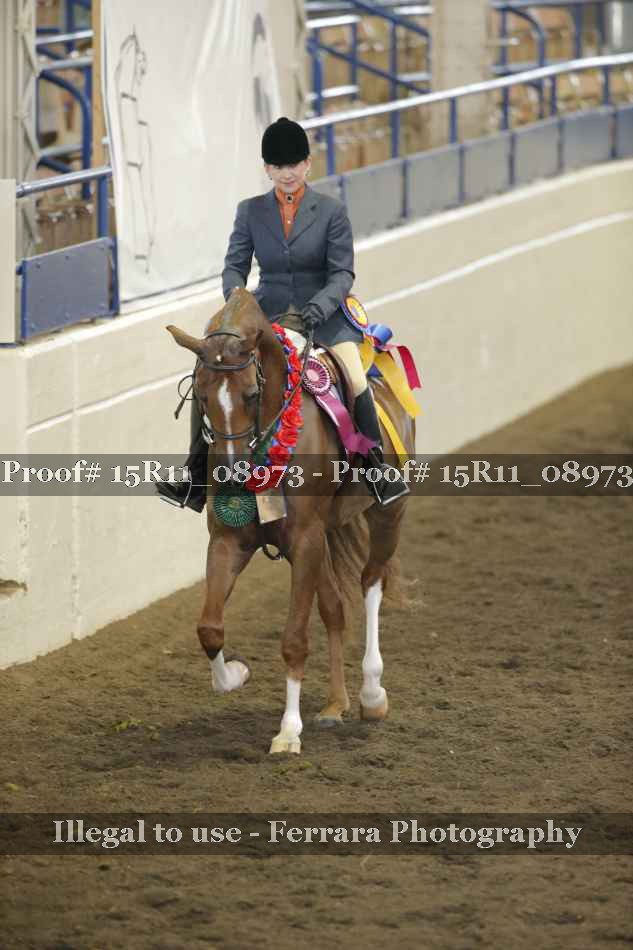 Proof Number 15R11_08973