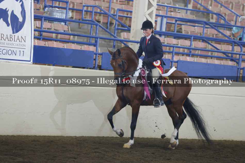 Proof Number 15R11_08975
