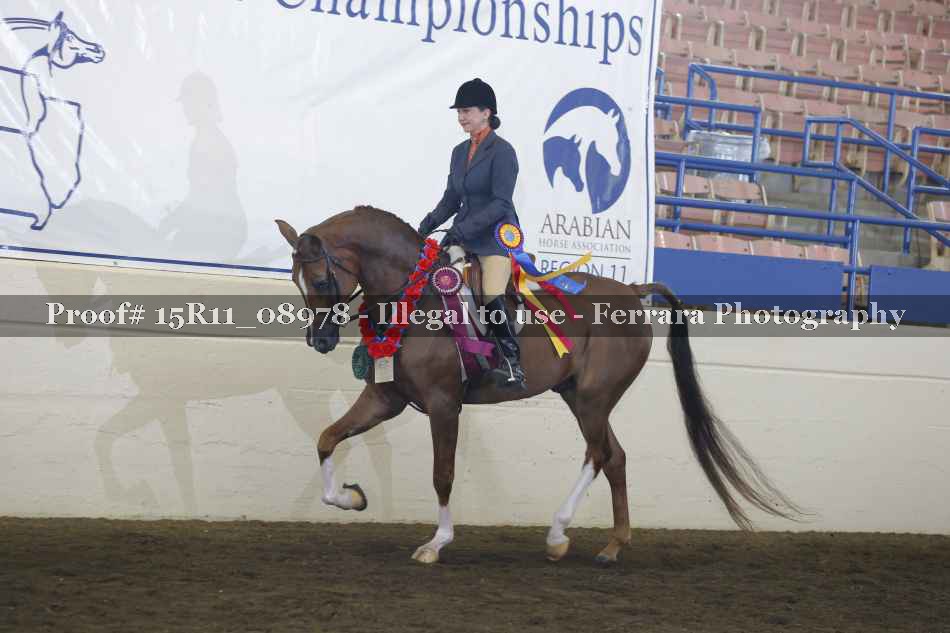 Proof Number 15R11_08978