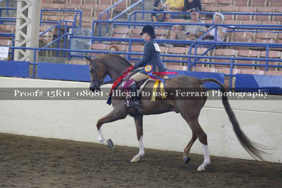 Proof Number 15R11_08981