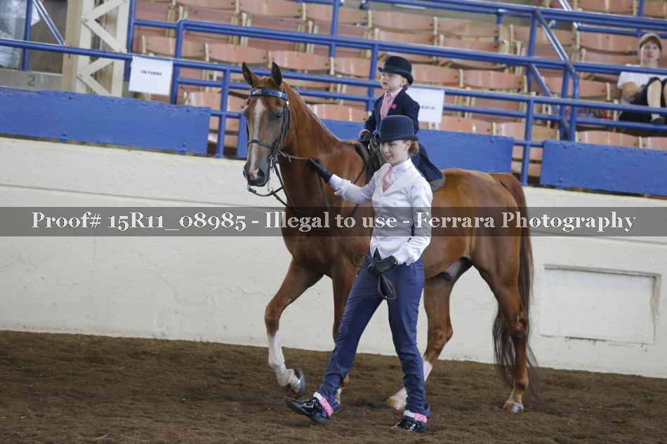 Proof Number 15R11_08985