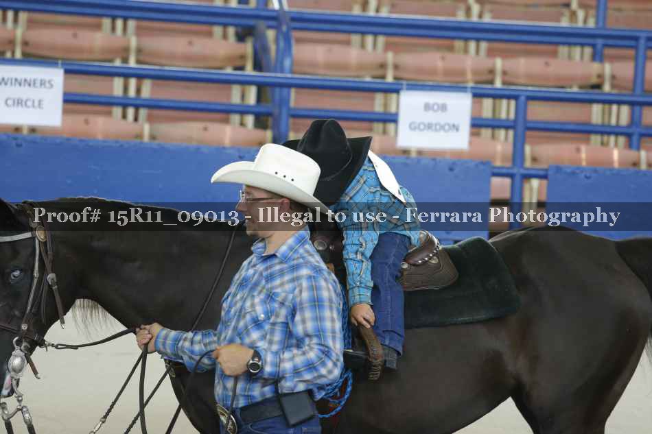 Proof Number 15R11_09013