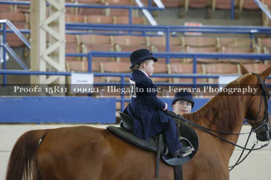Proof Number 15R11_09021
