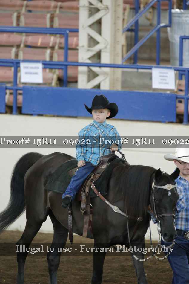 Proof Number 15R11_09022